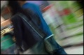 Services: Multichannel Customer Experience Research