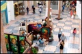 Services: Video Coding & Analysis